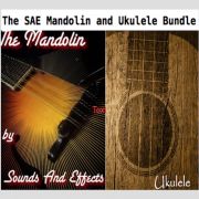 Mandolin Uke Bundle Reason